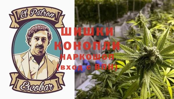 apvp Алагир