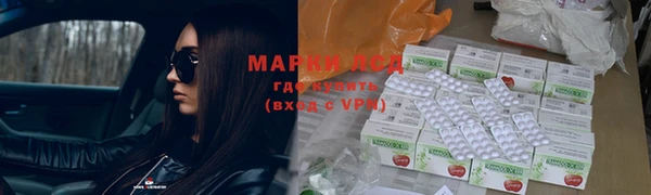 прущие грибы Баксан