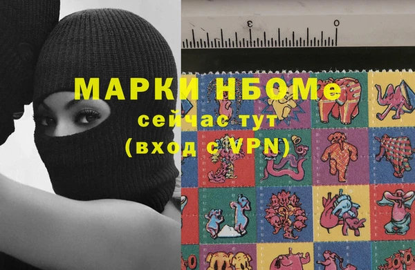 прущие грибы Баксан