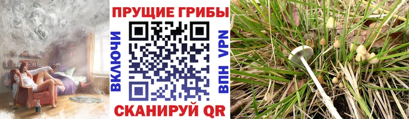 Галлюциногенные грибы Magic Shrooms  Балей 