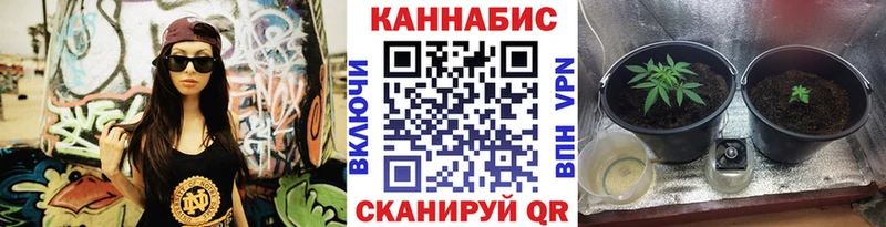 Шишки марихуана OG Kush  OMG рабочий сайт  Балей 